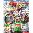 Раскраска по номерам "Велогонщики", акриловыми красками, 23 см х 30 см раскрашивания, 8 акриловых красок, кисть инфо 2219j.