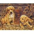 Раскраска по номерам "Играющие щенки", 36 см x 28 см Эскиз картины, 12 красок, кисть инфо 2221j.